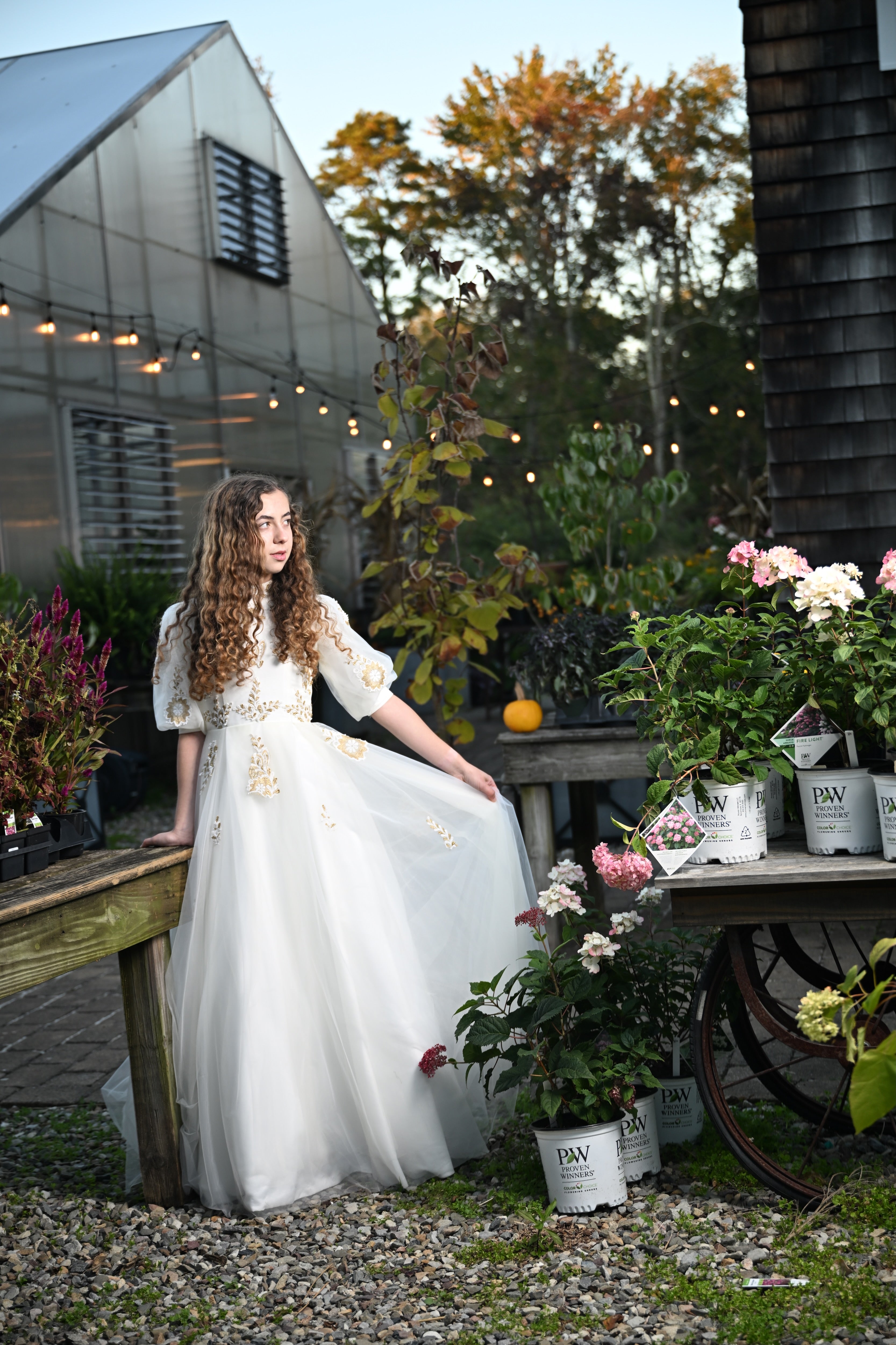 Giltpetal Tulle Teen