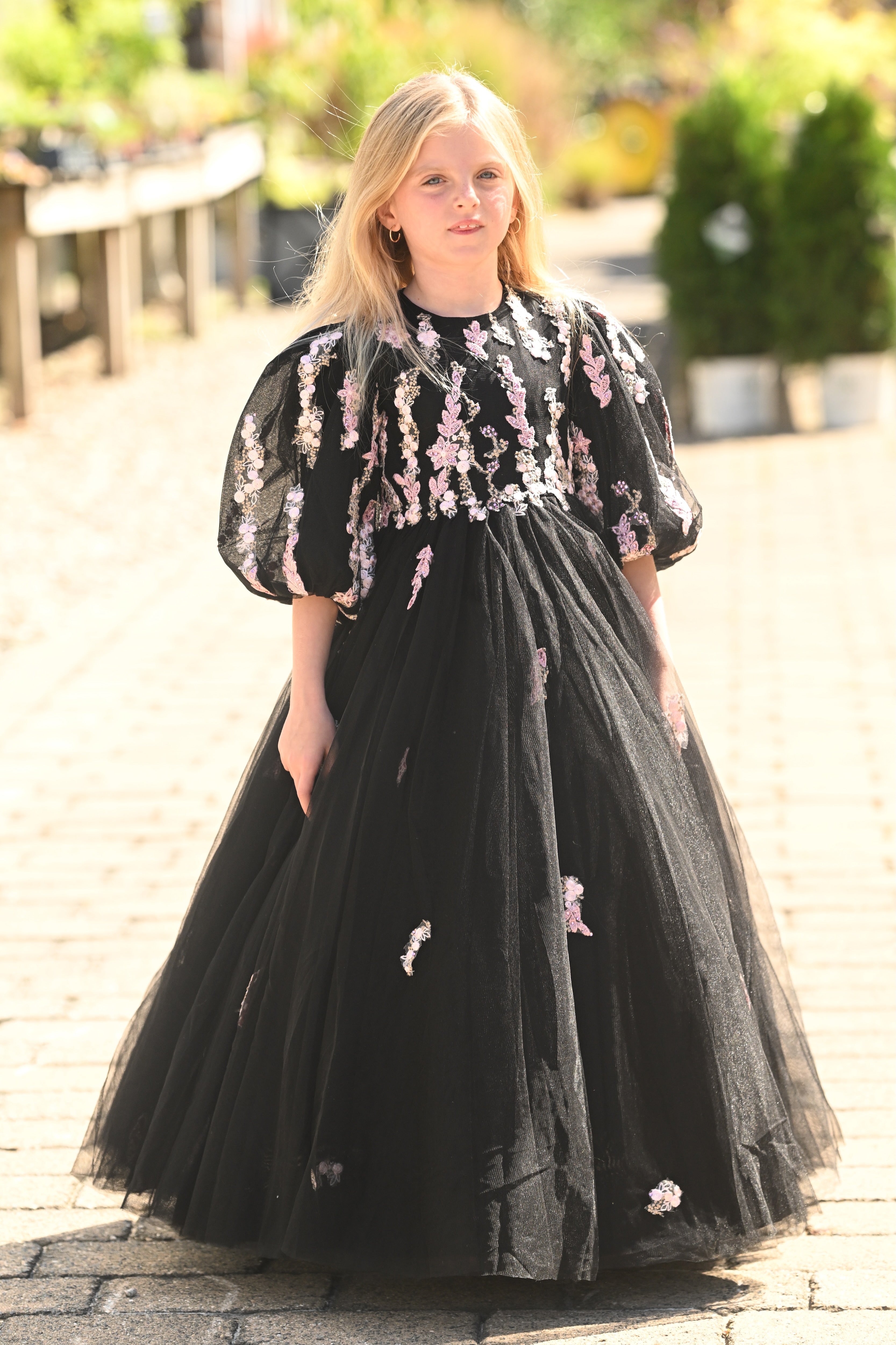 Black Scattered Stardust