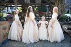 Golden Hour Family Collection