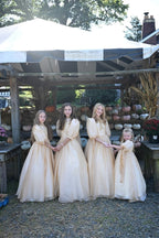 Golden Hour Family Collection